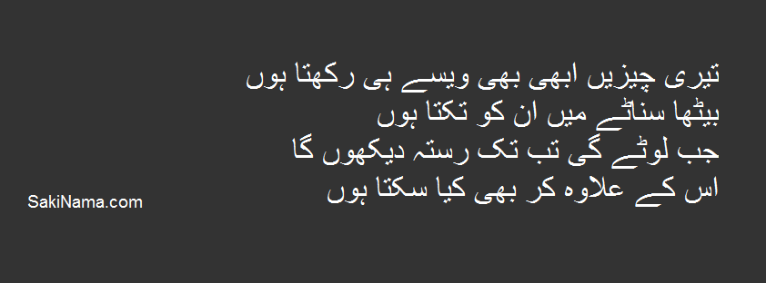 q teri cheezian urdu poetry